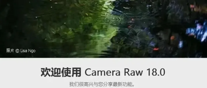 【插件】AI降噪、一键移除干扰物，PS滤镜增效 Camera Raw v18.0中文版，