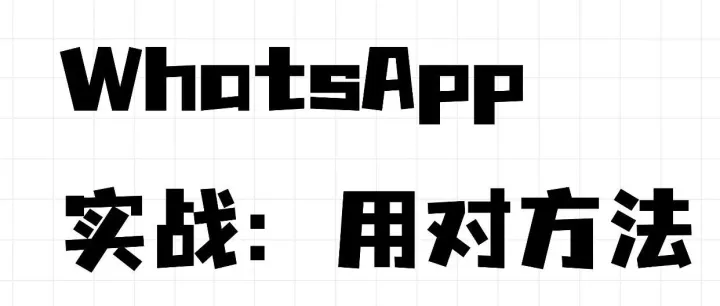 WhatsApp实战：用对方法，让成交率翻倍