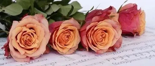 深入“中女时代”：品牌集体打造“她经济”新叙事｜行业聚焦