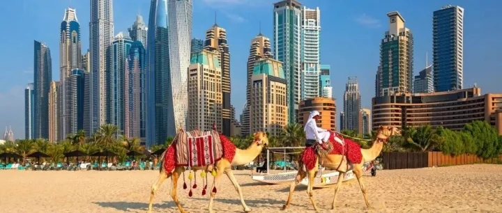 冬日中东·海上奇遇 | 阳光与沙漠的浪漫序章