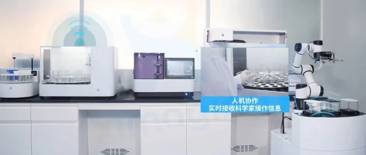 水质检测的“自动驾驶时代”：当机器人科学家开始接管实验室