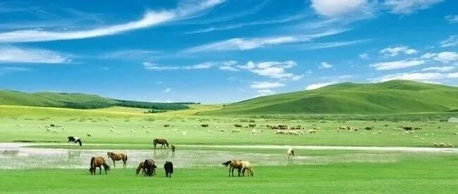 Day 307 好不容易爆单，库存却告急