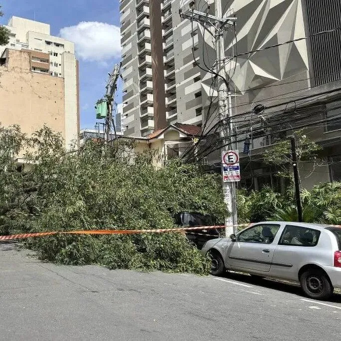 圣保罗遭强风袭击逾百万人无电可用，超150万户断电