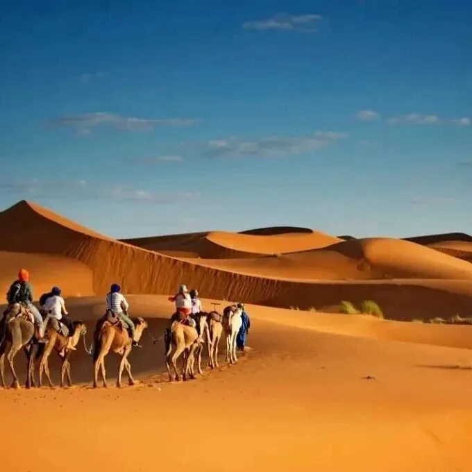 Desert Days 5晚 | 沙漠与海洋的双重浪漫