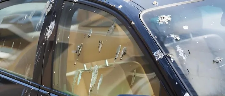 洗车 2 小时，鸟屎 1 分钟？这 3 类车最易被 “精准投放”，一招保住车漆！