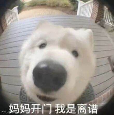 妈妈开门我是离谱(离谱到家了)_开门_到家_离谱表情