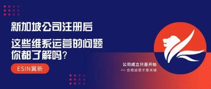 新加坡公司注册后，别急着松口气！这些运营细节才是真正的开始