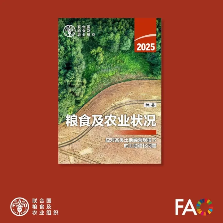 最新发布丨《2025年粮食及农业状况》