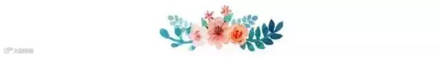 鲜花朵朵 分割线