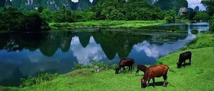 多杀菌素类杀虫剂研发进展