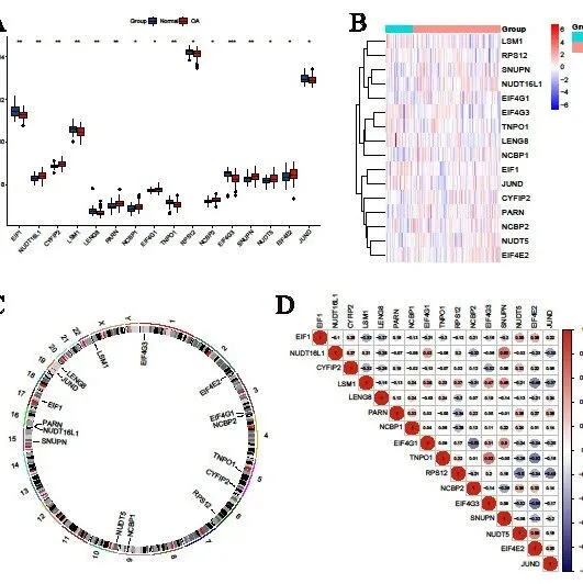 【IF=10.1 一区】3套公共数据构建预测模型直接拿下！思路轻松复现！