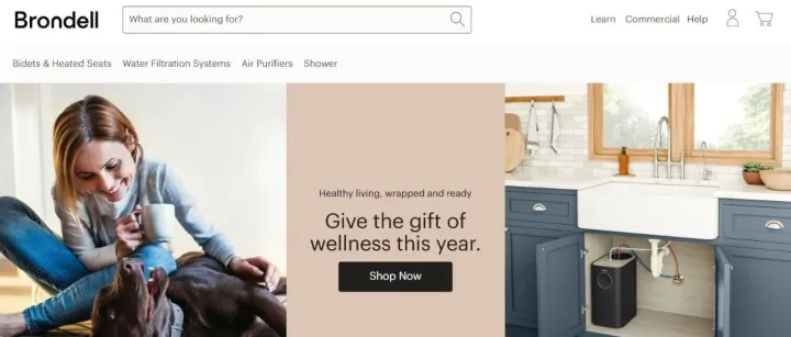 Brondell——以独立站驱动的净水与智能卫浴品牌