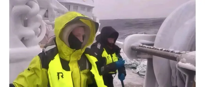 冬季航行，预防为第一原则——信德海事安全周报 2025-49期！