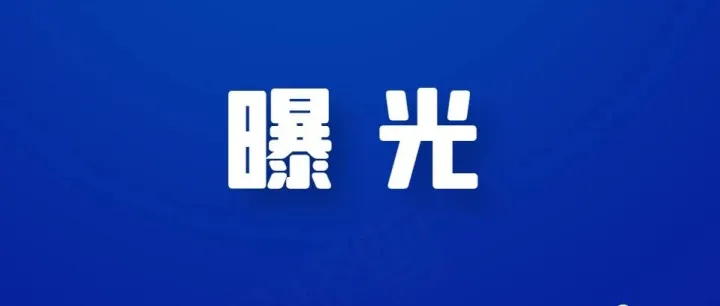 通过上海某薪酬策划平台进行员工奖金代发业务被稽查