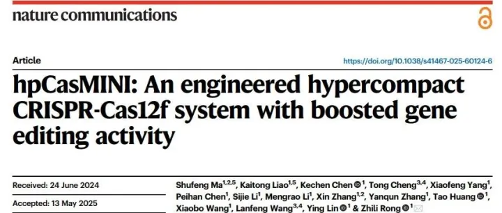 Nature Communications｜hpCasMINI：超紧凑CRISPR编辑器破解AAV容量限制