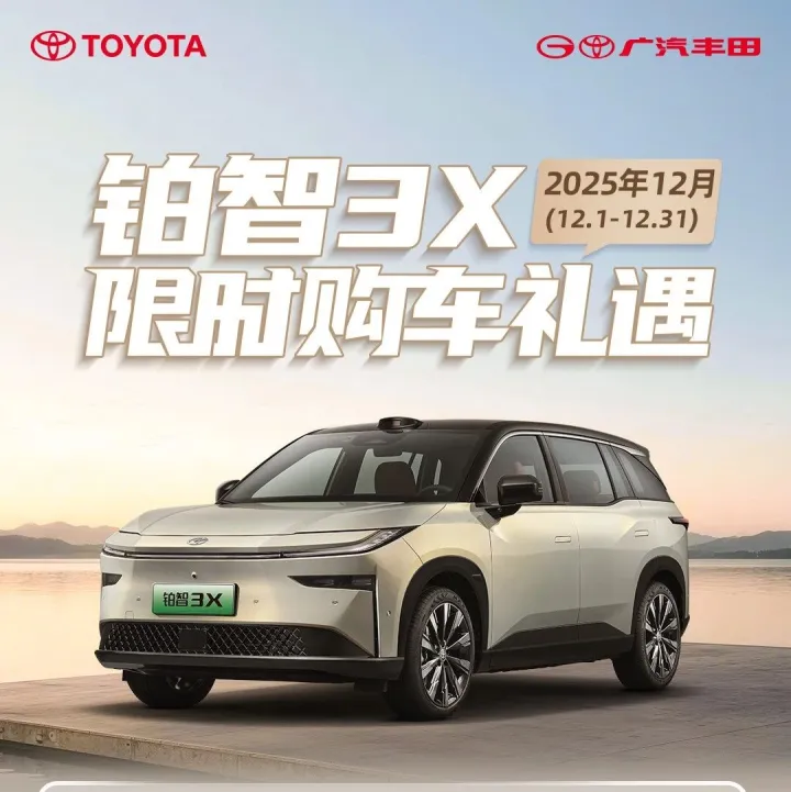 铂智<em>3X</em> 2025年12月限时购车礼遇