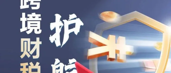 直击痛点!赛维模式+9810/0110，跨境财税合规干货深度拆解