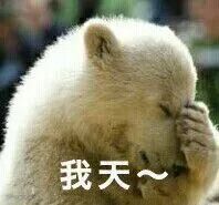 我天!(捂脸)_我天_捂脸表情
