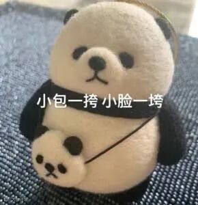 小包一挎小脸一垮(熊猫表情包)