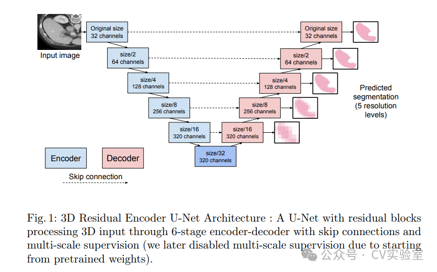 CVPR 2025 医学图像6大突破:分割精准度超90%,去模糊技术直达4K级!- 大数跨境