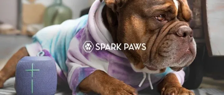 宠物服饰赛道杀出黑马！SPARK PAWS 6 个月营收 5600 万，凭什么征服海外养宠人？