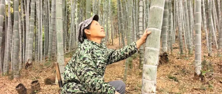 新闻稿 | 亚行与鲁丽木业签署绿色贷款协议，助推中国林业价值链循环经济发展