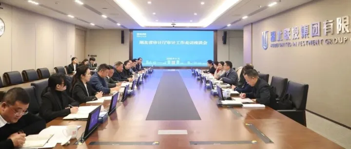 湖北省审计<em>厅</em>赴湖北联<em>投</em>调研座谈