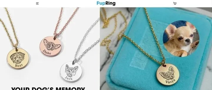 年入420万美金，只靠宠物项链？拆解一个小众独立站的暴利公式