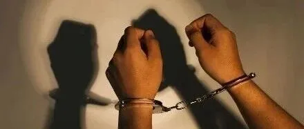 “<em>90</em><em>后</em>幼儿园园长”设局诈骗千万