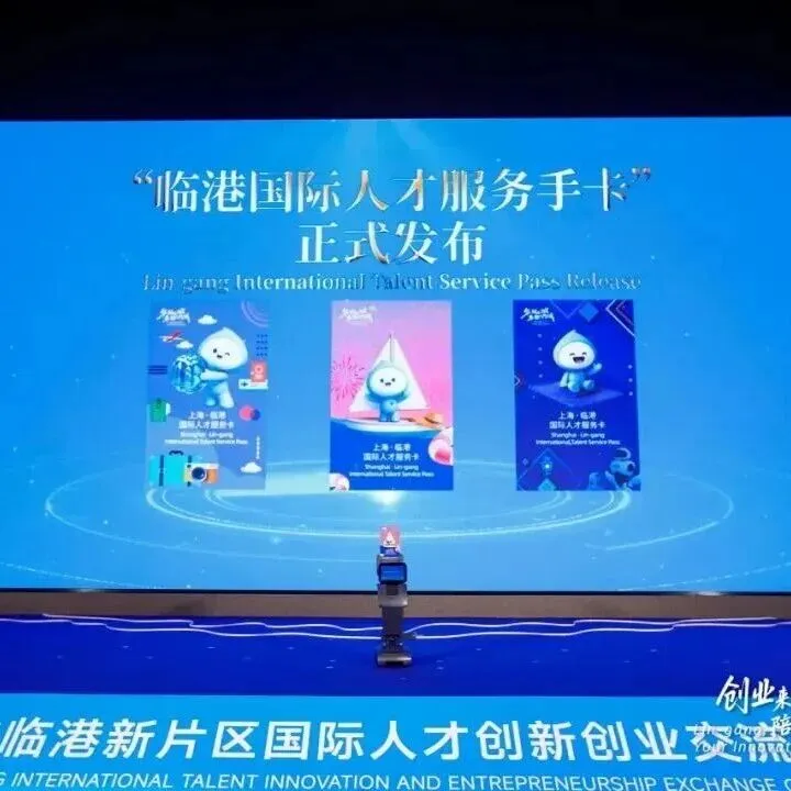 指尖轻碰，临港秒懂！ 临港国际人才服务手卡暖心上线