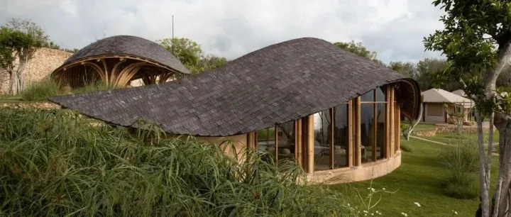 设计分享 | 鱼尾茶室