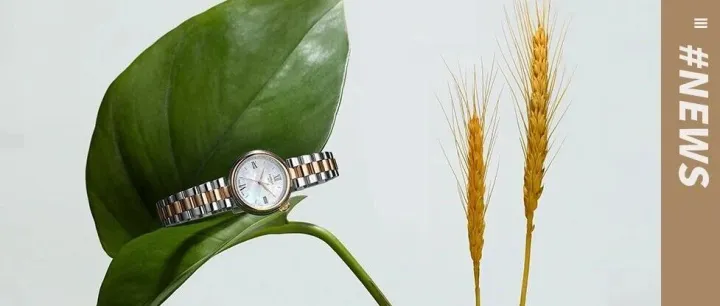 百秋携手TISSOT逆势突围，双十一获双位数增长，斩获亮眼成绩