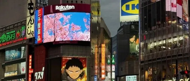 香港公司审计全流程指南