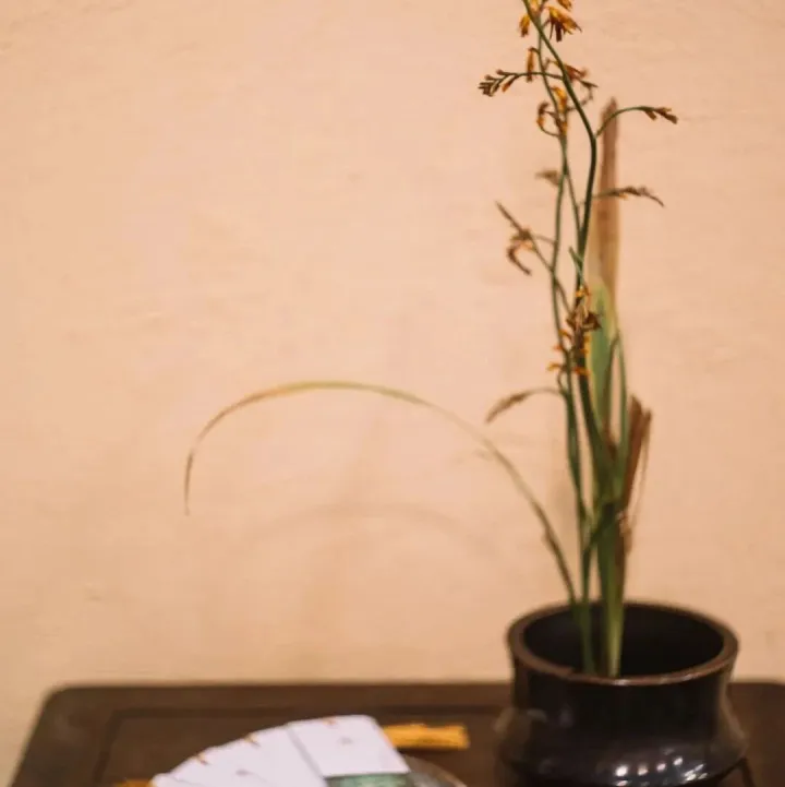 说 茶 | 舌尖上的山水旅行