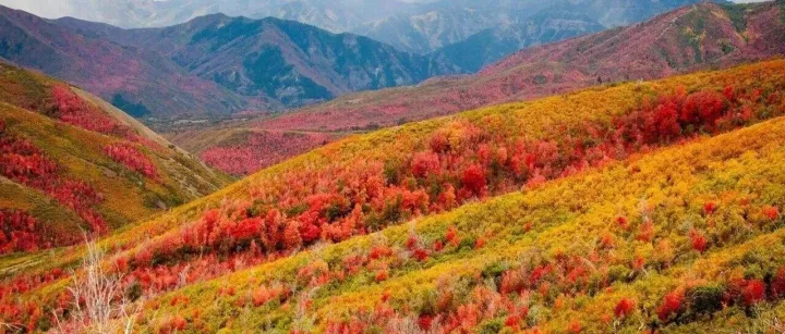 残留常见问题及解答（一）