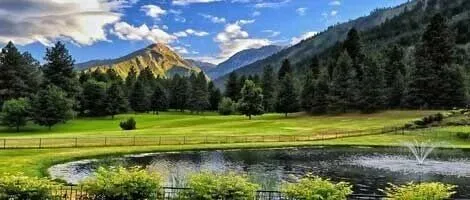 鸟类急性经口毒性试验的技术要点