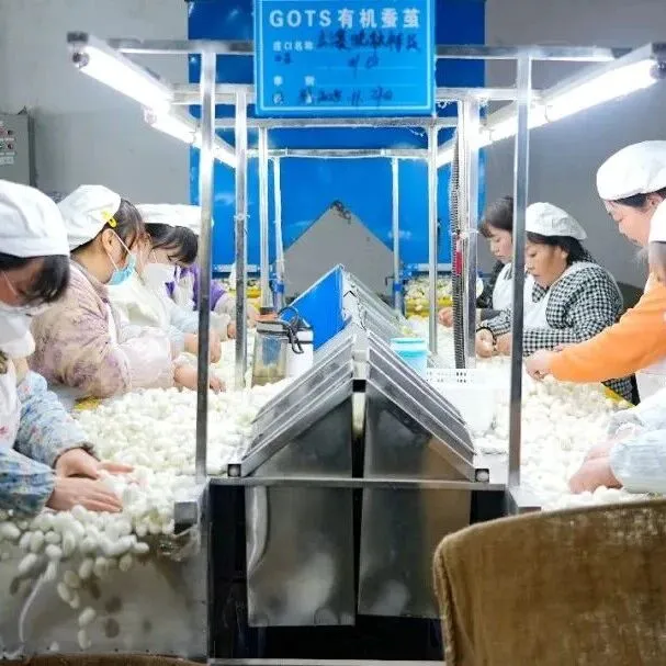 冲刺四季度丨新丝路公司：海外订单“领跑” 全产业链发力撬动5亿元产值