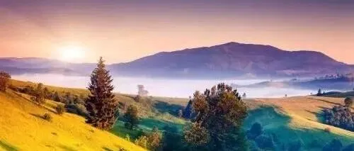 残留储藏<em>稳定性</em>试验关注要点