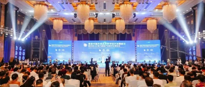 数字赋能，品牌出海！首届中国民族品牌数字经济发展峰会圆满落幕