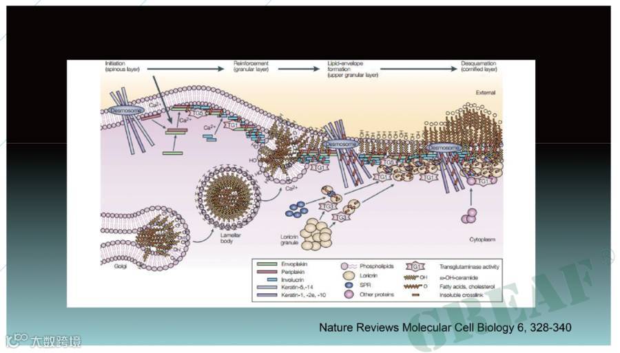 从图库选择图片
