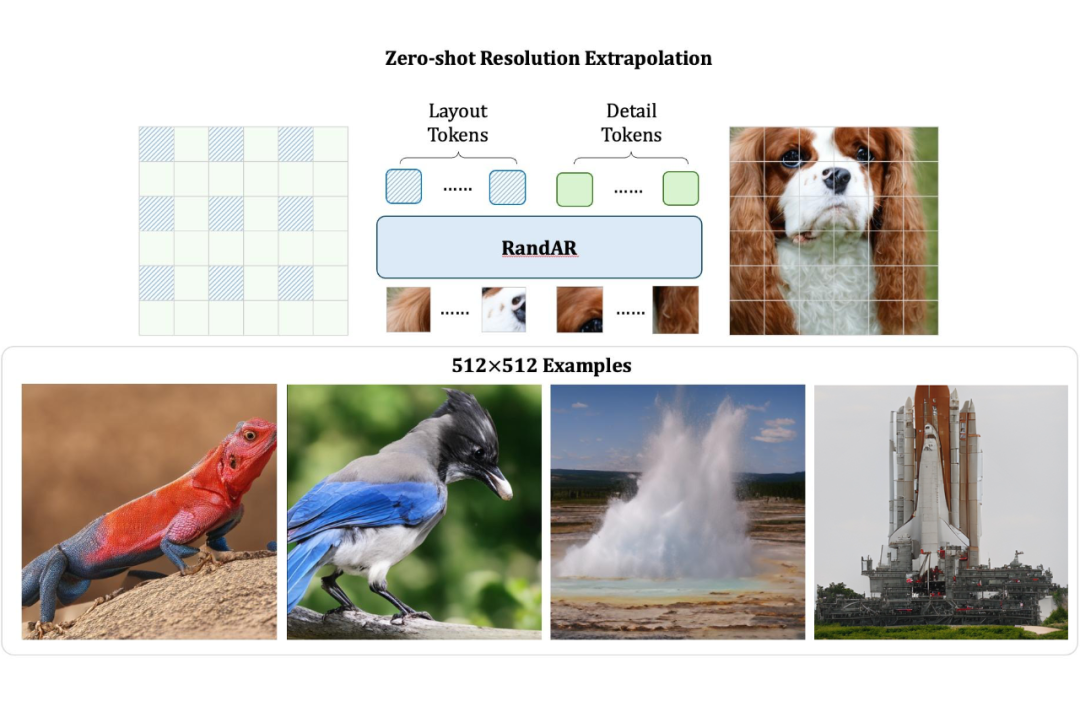 ▲ Resolution Extrapolation。可以看到下面的图片包含了比 256x256 图片更多的细节，比如说毛发的纹理。