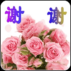 点击查看源网页