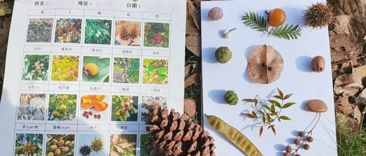 11月简报 | 博世·美好行动者<em>II</em>