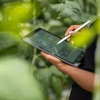 领先的制糖企业 RES，如何把员工体验做到更“甜”？