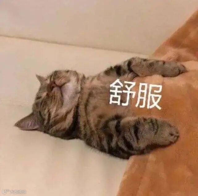 点击查看图片来源