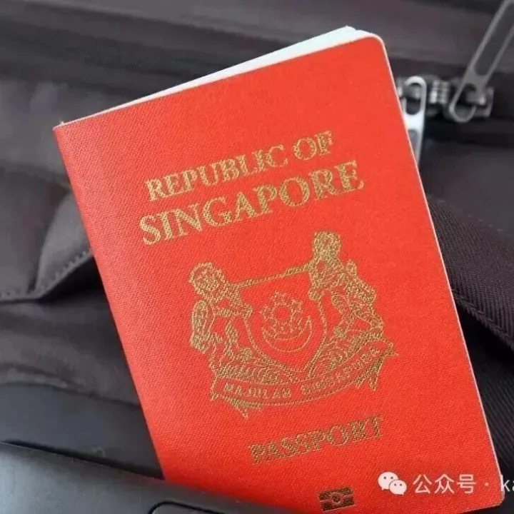 全球护照实力年终榜：新加坡连续称冠，这个国家首进前十