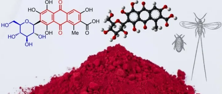 源于昆虫的天然色素——胭脂红酸（Carminic <em>acid</em>）