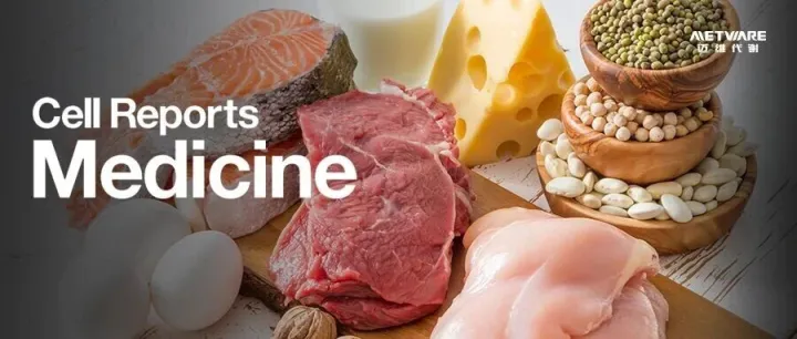 Cell Rep Med | 控糖别只怪碳水，高蛋白同样翻车？南医大最新研究：蛋白质或成胰岛素抵抗“头号推手”！