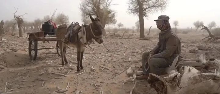 索尼助力，灵感相伴 | TOP10艺术家赵明谈创作故事