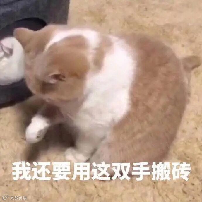 点击查看源网页